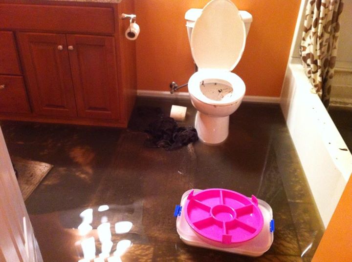 Sewage Backup and Cleanup Melbourne Brevard County